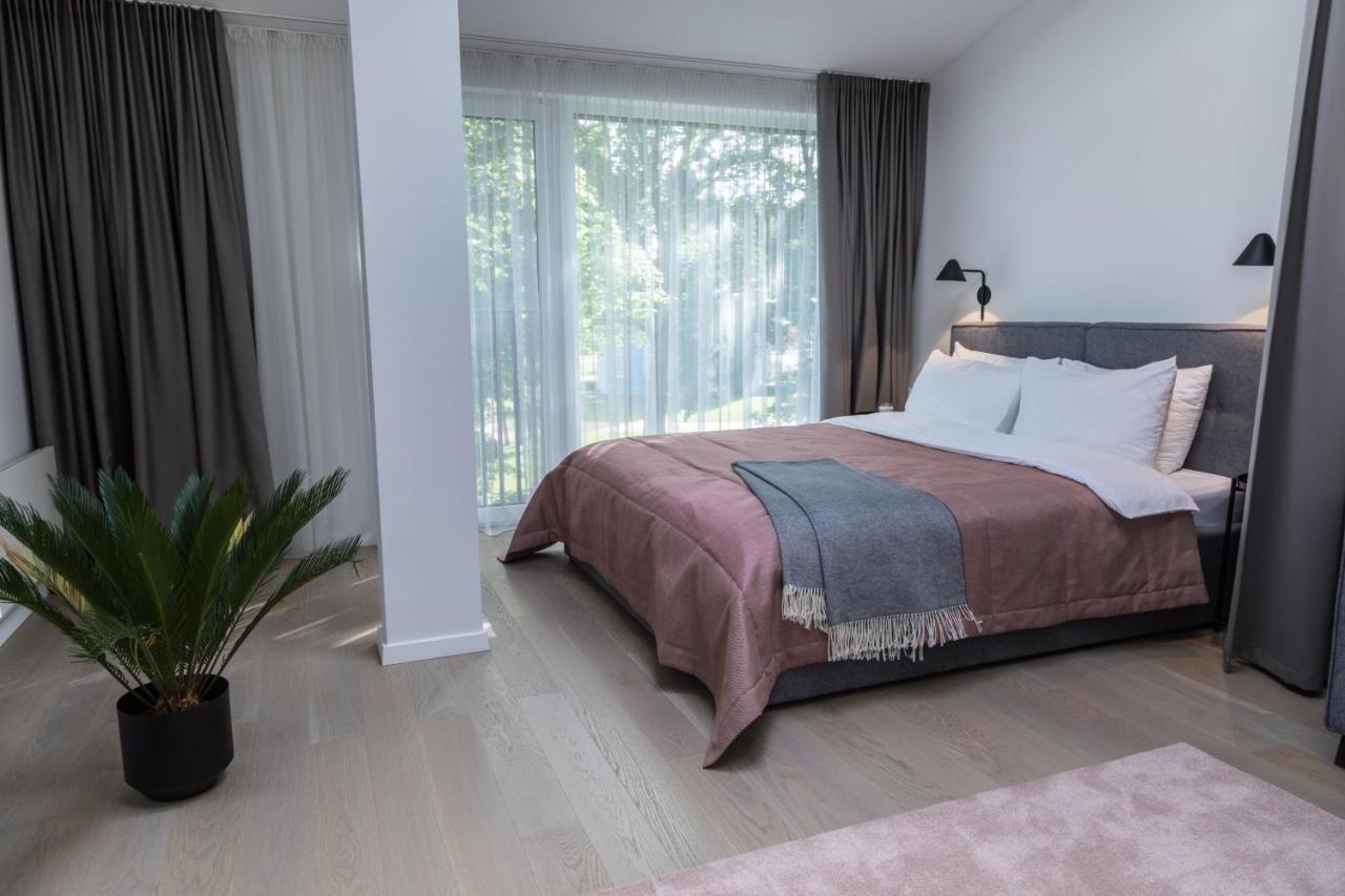 Apartment Hotel Laisve ドルスキニンカイ エクステリア 写真